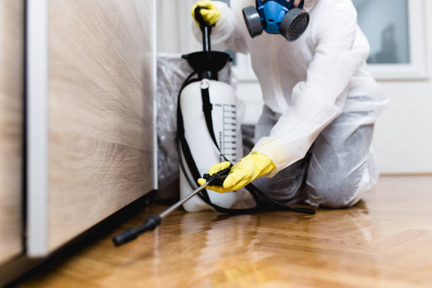 Best Local Pest Control Services  in San Antonio, FL
