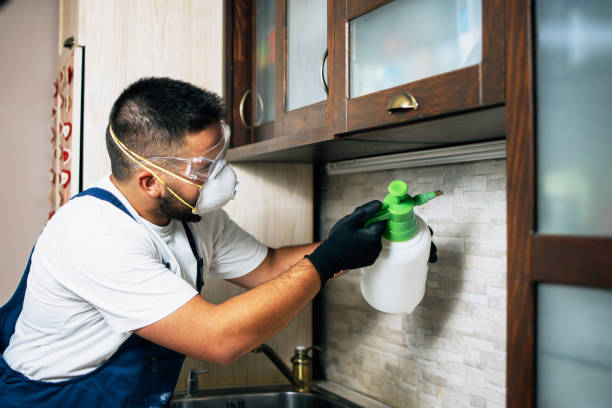 Best Mosquito Control Services  in San Antonio, FL