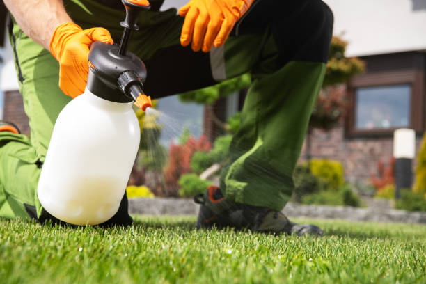 Best Flea Control Services  in San Antonio, FL