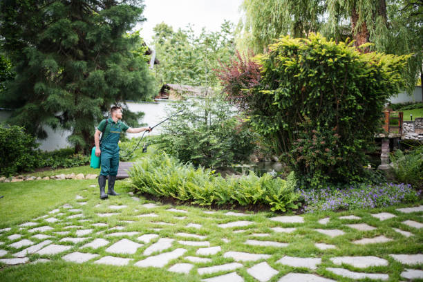 Best Residential Pest Control  in San Antonio, FL