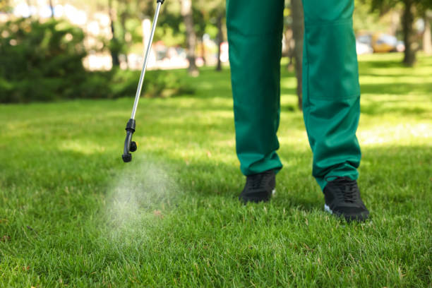 Best Pest Control Near Me  in San Antonio, FL