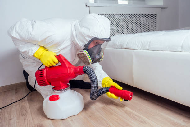 Best Pest Inspection Near Me  in San Antonio, FL