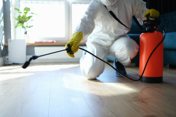 Professional Pest Control in San Antonio, FL