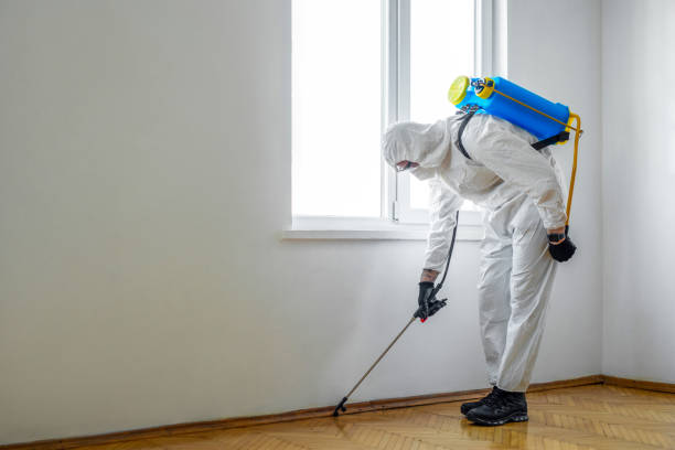 Best Pest Control for Businesses  in San Antonio, FL