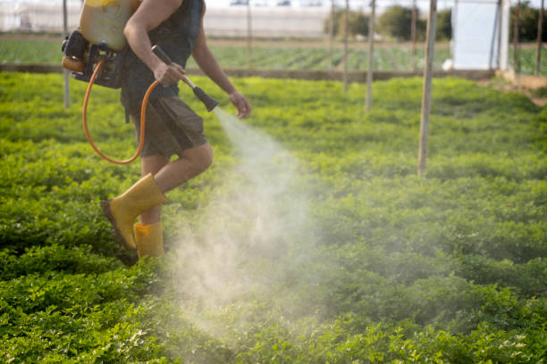 Best Pest Control Near Me  in San Antonio, FL