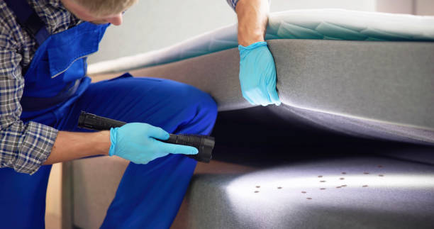 Best Pest Prevention Services  in San Antonio, FL