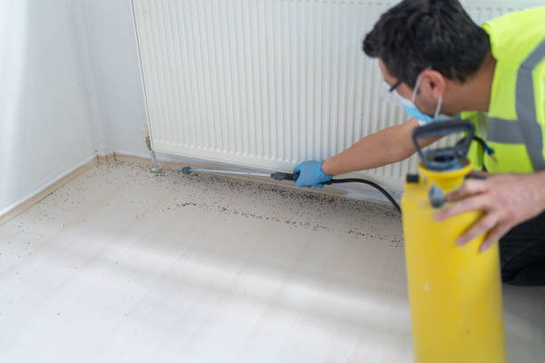 Pest Control Cost in San Antonio, FL
