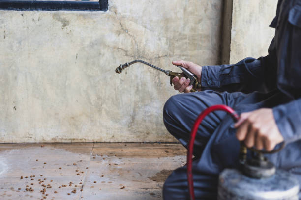 Best Pest Prevention Services  in San Antonio, FL